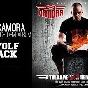 The lyrics YO - REMIX of RAF CAMORA is also present in the album Therapie nach dem album (2010)