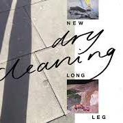 The lyrics UNSMART LADY of DRY CLEANING is also present in the album New long leg (2021)