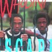 The lyrics FIVE MINUTES OF FUNK of WHODINI is also present in the album Escape (1984)