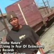 The lyrics JUST MOVE YO' of NEFERTITI is also present in the album L.I.F.E.: living in fear of extinction (1997)