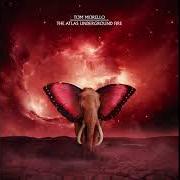 The lyrics HARLEM HELLFIGHTER of TOM MORELLO is also present in the album The atlas underground fire (2021)
