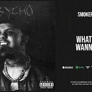 The lyrics WHAT YOU WANNA DO of SMOKEPURPP is also present in the album Psycho (legally insane) (2021)