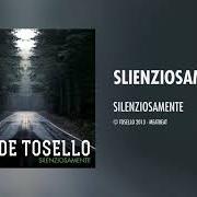 The lyrics DUBLINO of DAVIDE TOSELLO is also present in the album Silenziosamente (2013)