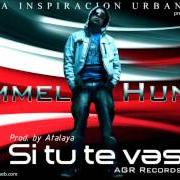 The lyrics SOBREVIVIR of ROMMEL HUNTER is also present in the album La inspiracion urbana (2013)