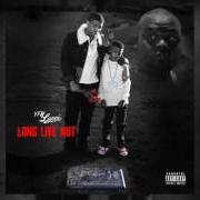 The lyrics TESTIMONY of YFN LUCCI is also present in the album Long live nut (2017)