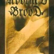 The lyrics GÖTTERSEHNSUCHT of ADORNED BROOD is also present in the album Erdenkraft (2002)