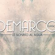 The lyrics TE HAS MARCHADO of DEMARCO FLAMENCO is also present in the album Le sonrío al agua (2019)