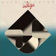 The lyrics SHALLOW WATER of WILD NOTHING is also present in the album Indigo (2018)