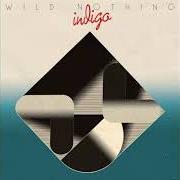 The lyrics BEND of WILD NOTHING is also present in the album Indigo (2018)