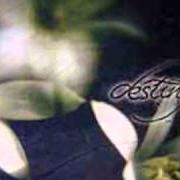 The lyrics DIVING INTO ETERNITY of DESTINY is also present in the album Diving into eternity (2002)