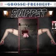 The lyrics MONTAG of GZUZ is also present in the album Grosse freiheit (2022)
