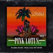 The lyrics WHAT YOU KNOW of FREDDIE DREDD is also present in the album Pink lotus (2018)