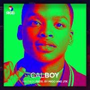 The lyrics GHETTO AMERICA of CALBOY is also present in the album Wildboy (2019)