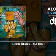 The lyrics WAIKIKI FLOW of SHY GLIZZY is also present in the album Aloha (2019)