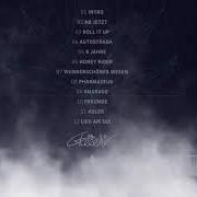 The lyrics ADLER of GREEEN is also present in the album Smaragd (2019)