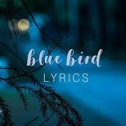 The lyrics BLUE BIRD of ZACHARY KNOWLES is also present in the album Feelings (2018)
