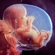 The lyrics WIE DIE ZEIT VERRENNT of MOTRIP is also present in the album Embryo (2012)