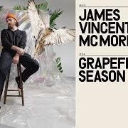 The lyrics PARADISE of JAMES VINCENT MCMORROW is also present in the album Grapefruit season (2021)