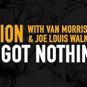 The lyrics I GOT NOTHIN' (FEAT. VAN MORRISON & JOE LOUIS WALKER) of DION is also present in the album Blues with friends (2020)