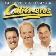 The lyrics WENN DU MICH KÜSSEN WILLST of CALIMEROS is also present in the album Das beste (2014)