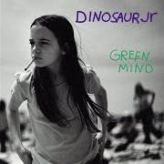 The lyrics BLOWING IT of DINOSAUR JR. is also present in the album Green mind