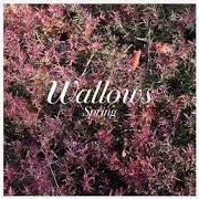 The lyrics 1980S HORROR FILM of WALLOWS is also present in the album Spring (2018)