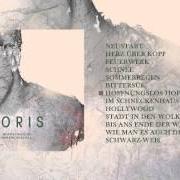 The lyrics SCHNEE of JORIS is also present in the album Hoffnungslos hoffnungsvoll (2015)