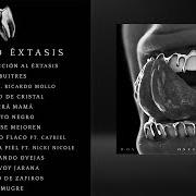 The lyrics GATO NEGRO of WOS is also present in the album Oscuro éxtasis (2021)