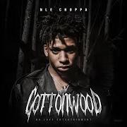 The lyrics SHOTTA FLOW (REMIX) of NLE CHOPPA is also present in the album Cottonwood (2019)
