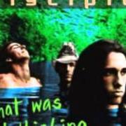 The lyrics SORRY of DISCIPLE is also present in the album What was i thinking (1996)