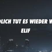 The lyrics ICH DENK AN DICH of ELIF is also present in the album Endlich tut es wieder weh (2023)