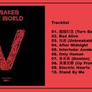 The lyrics DOMINO of WAYV is also present in the album Awaken the world - the 1st album (2020)