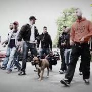 The lyrics SCHNAUZE of BONEZ MC is also present in the album Krampfhaft kriminell (2012)