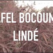 The lyrics DAKAMANA of AFEL BOCOUM is also present in the album Lindé (2020)