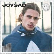 The lyrics LES POINTS SUR LES I of JOYSAD is also present in the album Fernandez (2020)
