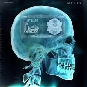The lyrics MEILLEUR CAUCHEMAR of PLK is also present in the album Mental (2019)