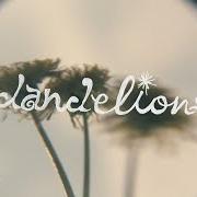 The lyrics DANDELIONS of WHITNEY is also present in the album Small talk (2025)
