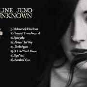 The lyrics LIKE LOVERS DO of MADELINE JUNO is also present in the album The unknown (2014)