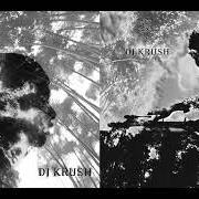 The lyrics PASSAGE of DJ KRUSH is also present in the album Jaku (2004)