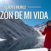 The lyrics MORA EN MI VIDA of GLADYS MUÑOZ is also present in the album La razón de mi vida (2011)