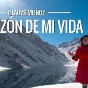 The lyrics GRACIAS of GLADYS MUÑOZ is also present in the album La razón de mi vida (2011)