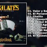 The lyrics CHALITO of EL FANTASMA is also present in the album 10 kilates: con norteño (2019)