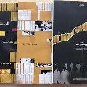 Clé 2 : yellow wood