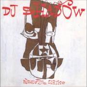 The lyrics IN FLUX of DJ SHADOW is also present in the album Preemptive strike (1998)