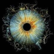 Buscando la luz (deluxe) Buscando la luz (deluxe)