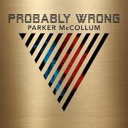 The lyrics LEARN TO FLY of PARKER MCCOLLUM is also present in the album Probably wrong (2017)
