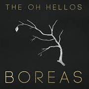 The lyrics ROSE of OH HELLOS (THE) is also present in the album Boreas (2020)