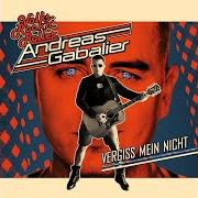 The lyrics VERGISS MEIN NICHT of ANDREAS GABALIER is also present in the album Vergiss mein nicht (2018)