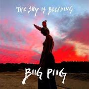 The lyrics DRUGS of BIIG PIIG is also present in the album The sky is bleeding (2021)