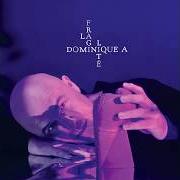 The lyrics LE RUBAN of DOMINIQUE A is also present in the album La fragilité (2018)